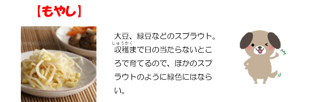 もやしの写真。『大豆や緑豆などのスプラウト。日光に当たらないところで育てるので、緑色にならない』と説明されている。