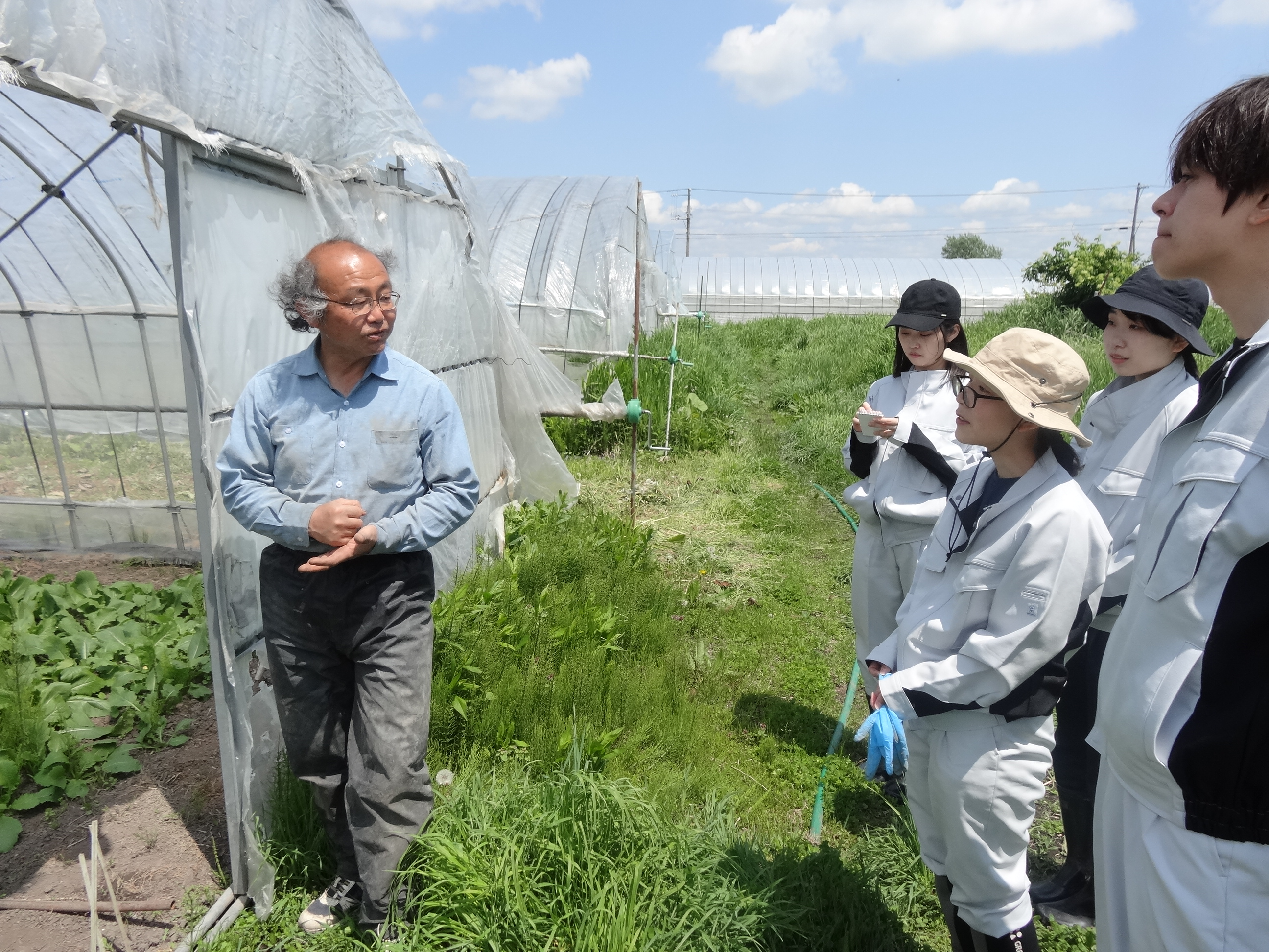 有機農業における農作業体験（令和7年度第1回）を実施しました。