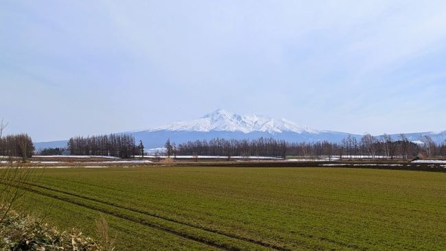 斜里岳と秋まき小麦