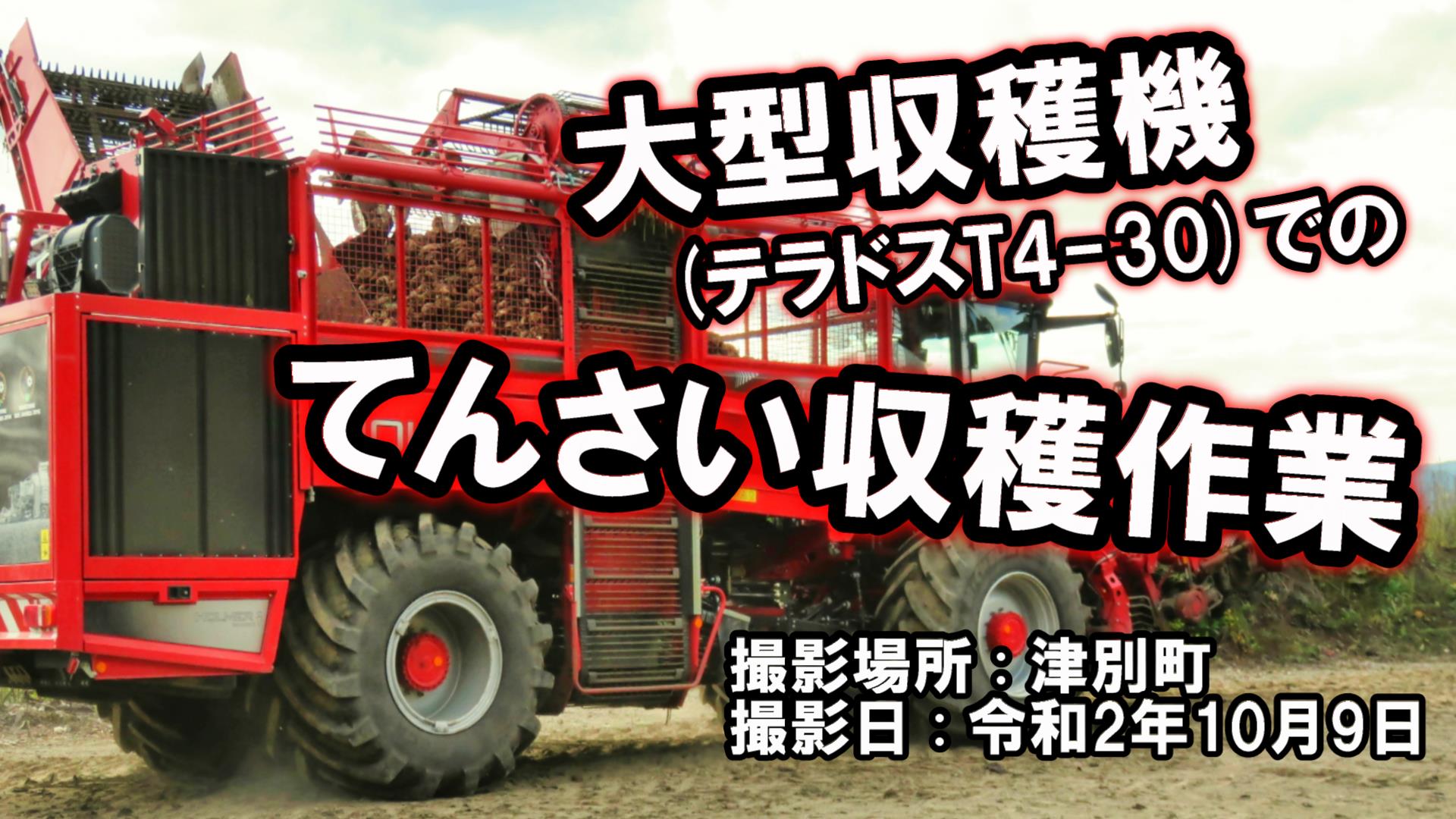 津別てんさい