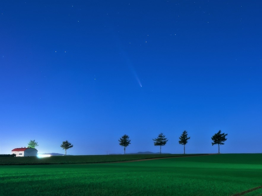 紫金山・アトラス彗星と秋まき小麦