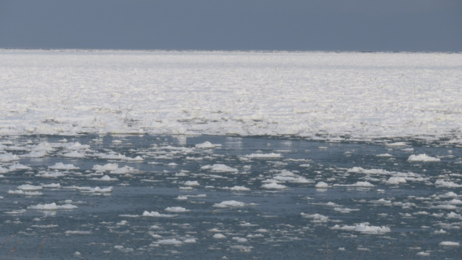 オホーツク海「流氷」