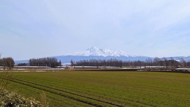 斜里岳と秋まき小麦
