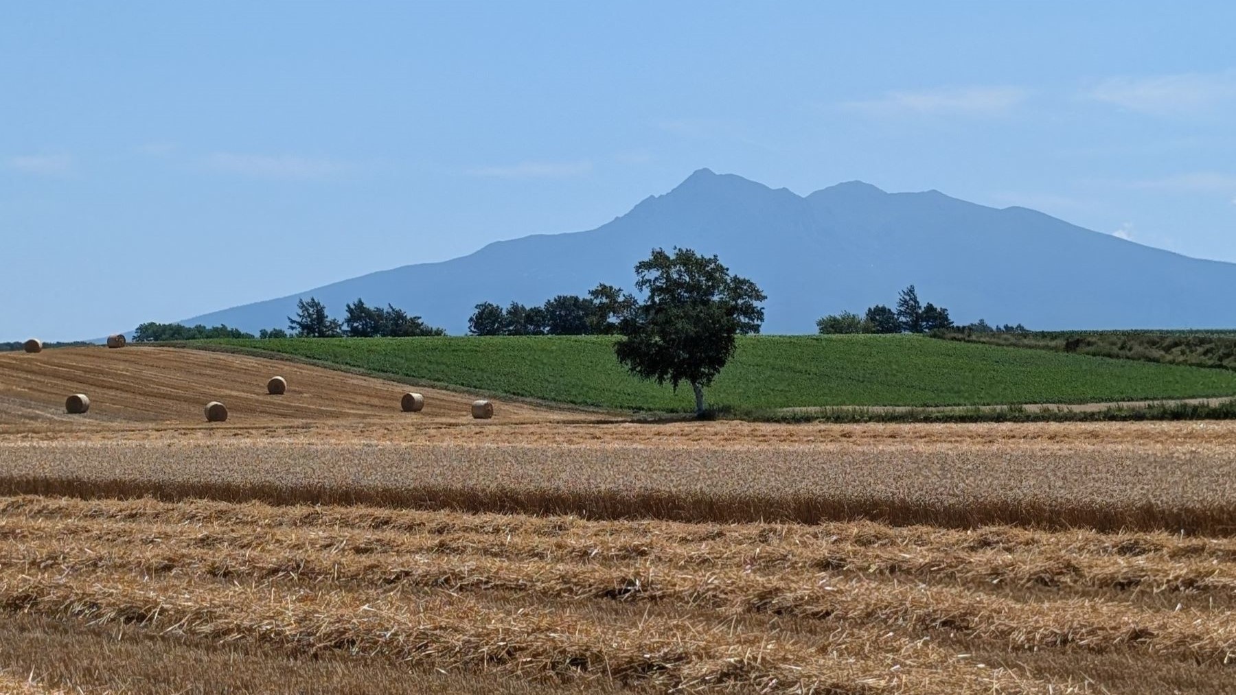 小麦畑と斜里岳