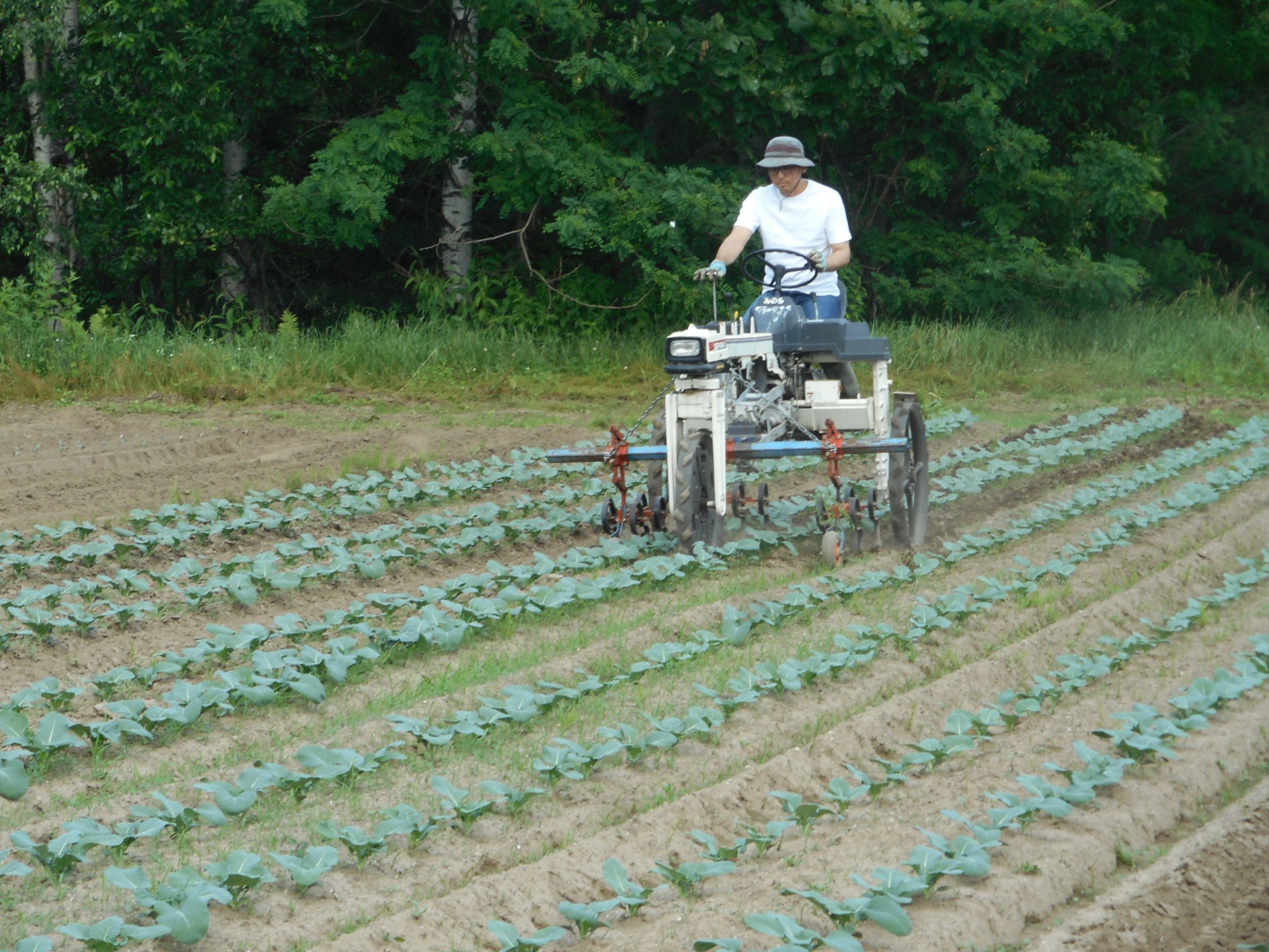 2_カルチをかける拓実さん