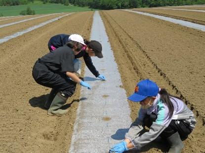 作業に夢中な小学生