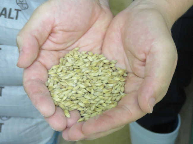 ビールに用いられる麦芽