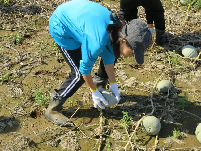 一生懸命に作業する小学生