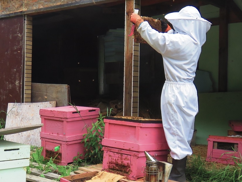 ミツバチや蜜の状態の確認