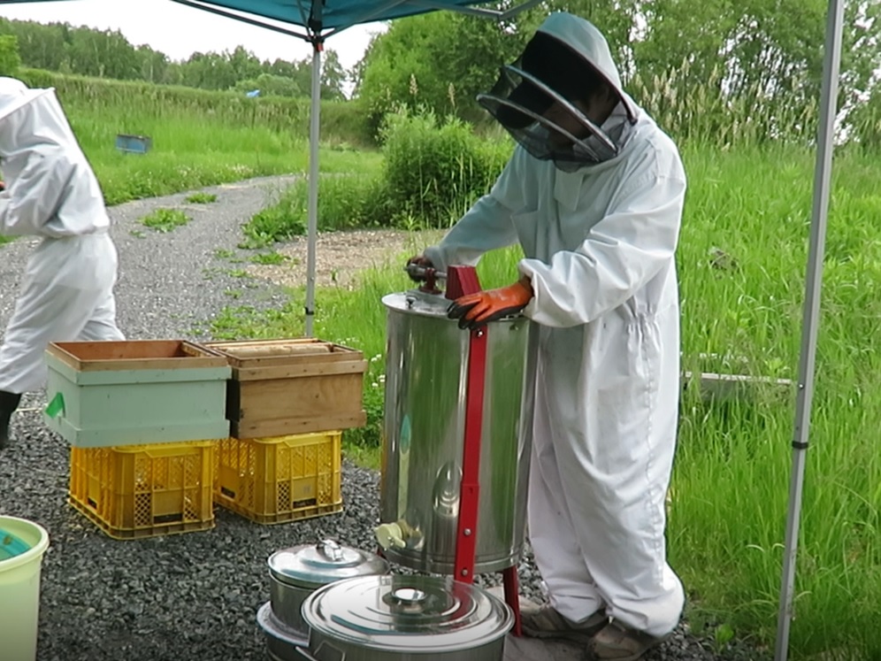 分離の様子