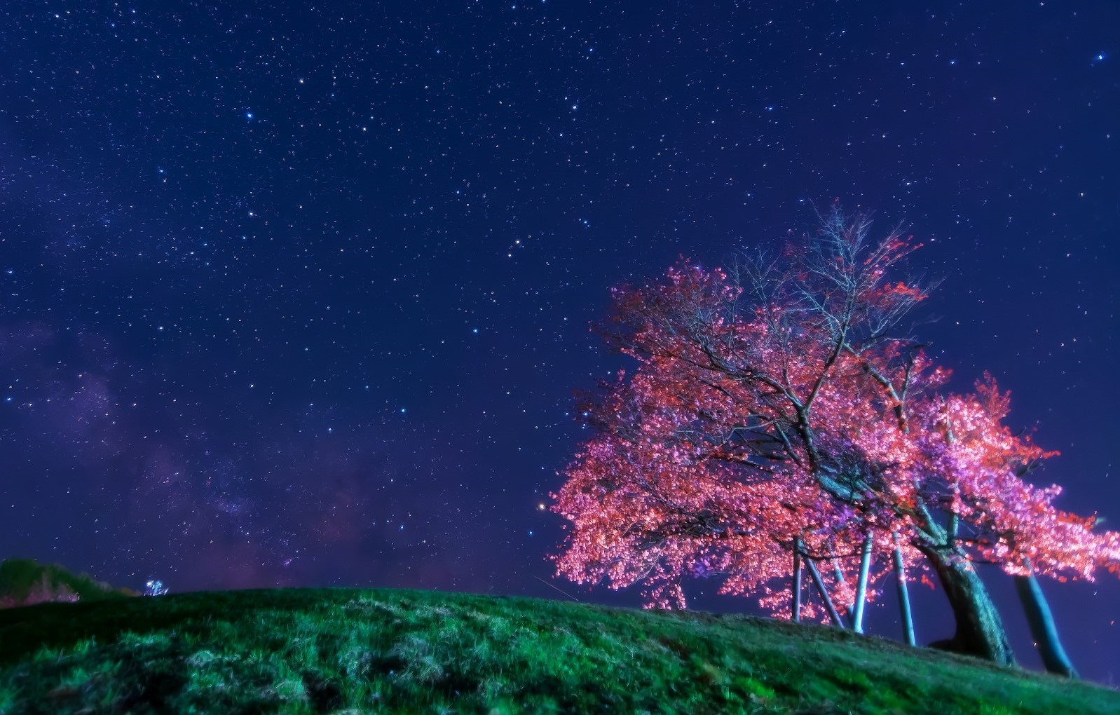 双子の桜と天の川（津別町）
