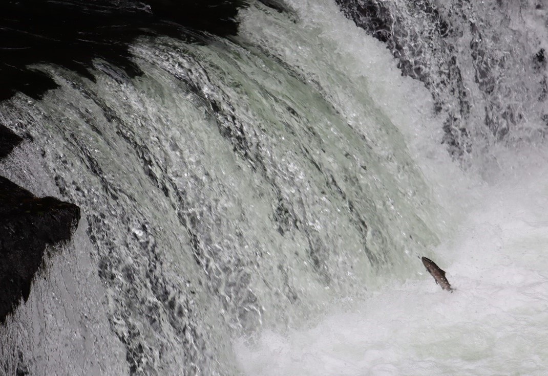 清里町の「さくらの滝」