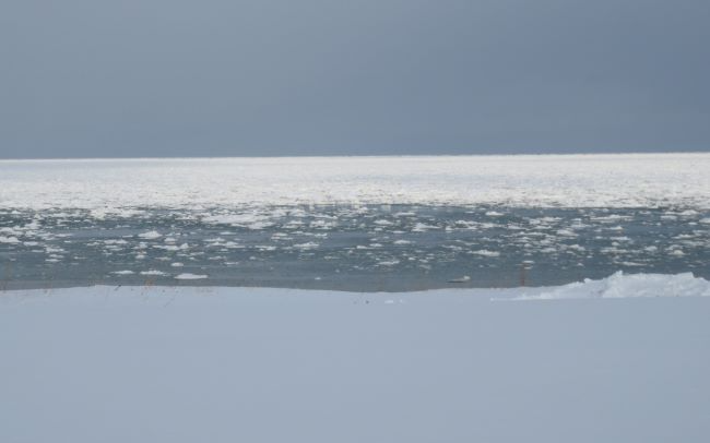流氷1