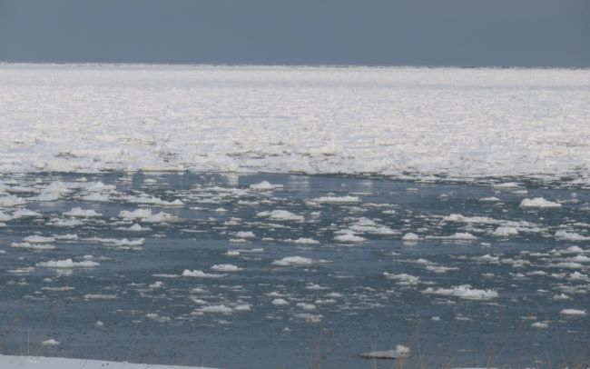 流氷2
