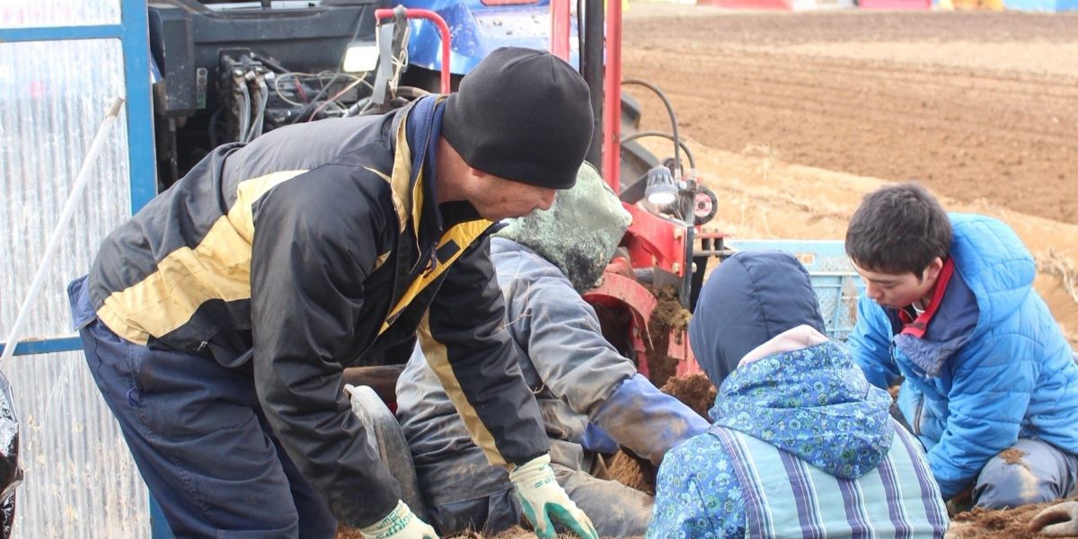 共同作業で土を払う様子