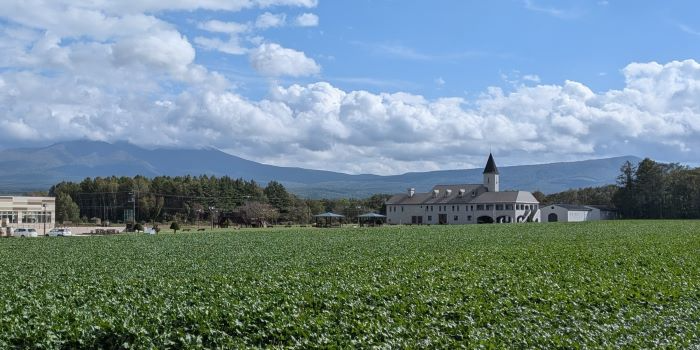 てんさい畑と焼酎工場