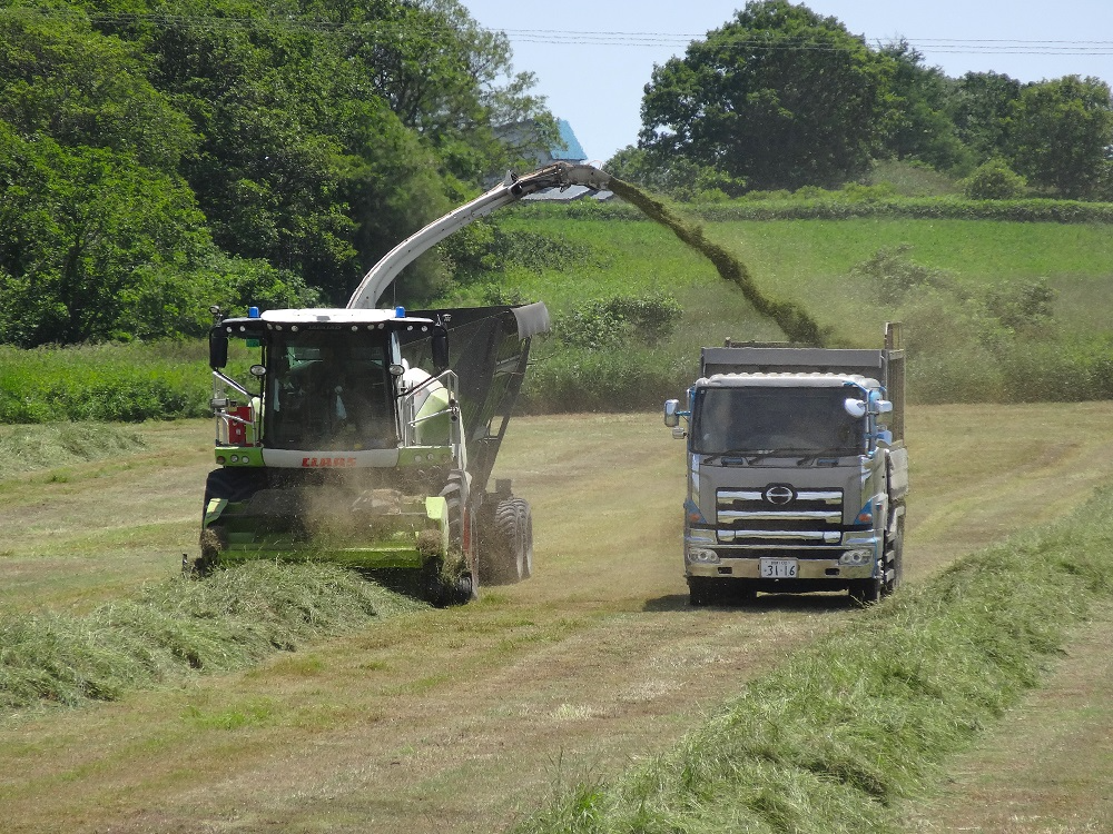 順調に進む一番牧草の刈り取り
