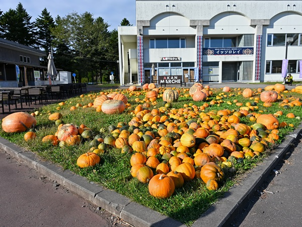 ハロウィンかぼちゃ