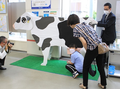 実物大の模擬牛