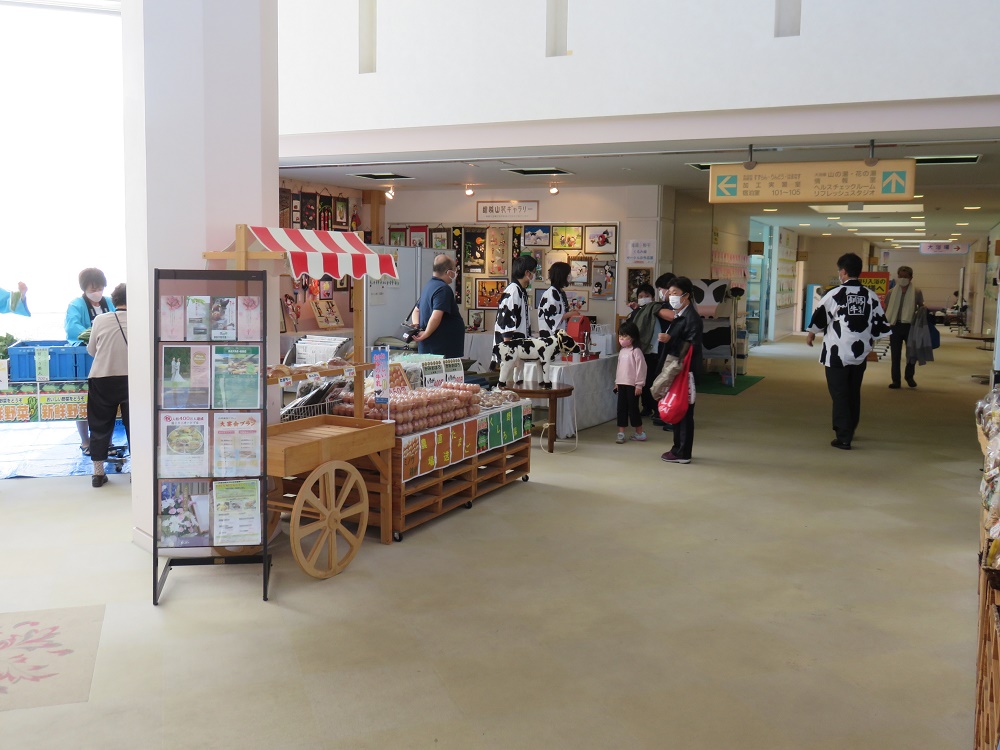 展示全景