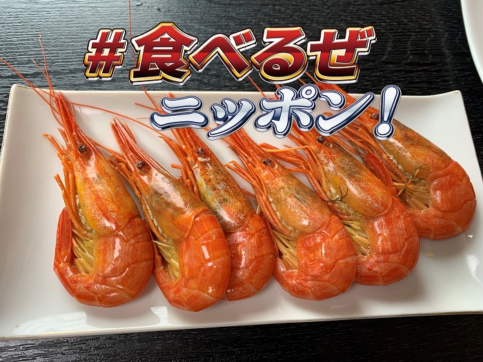 09_ホッカイシマエビ