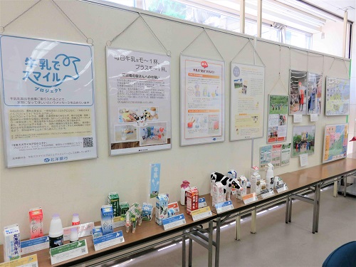 展示全体の様子