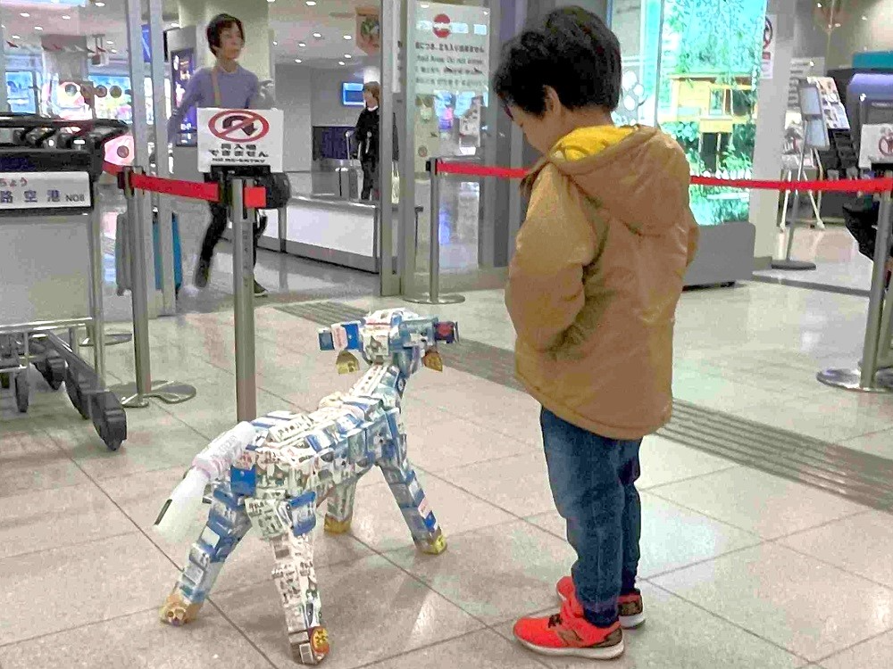 子牛を見守る子供