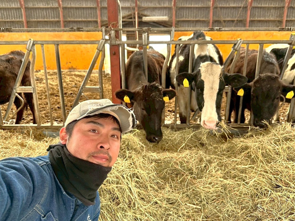 冬は自家生産のラップサイレージを給餌＊