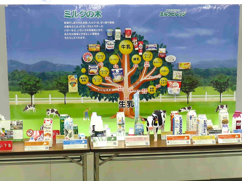 北洋銀行パネル展_夏