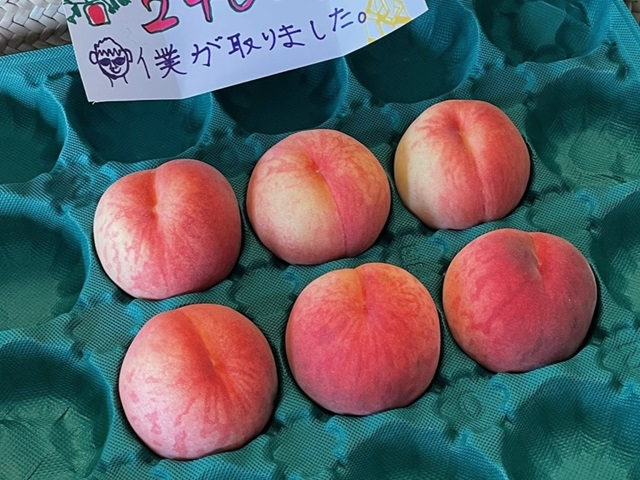 お店で販売されていた帯広の桃！