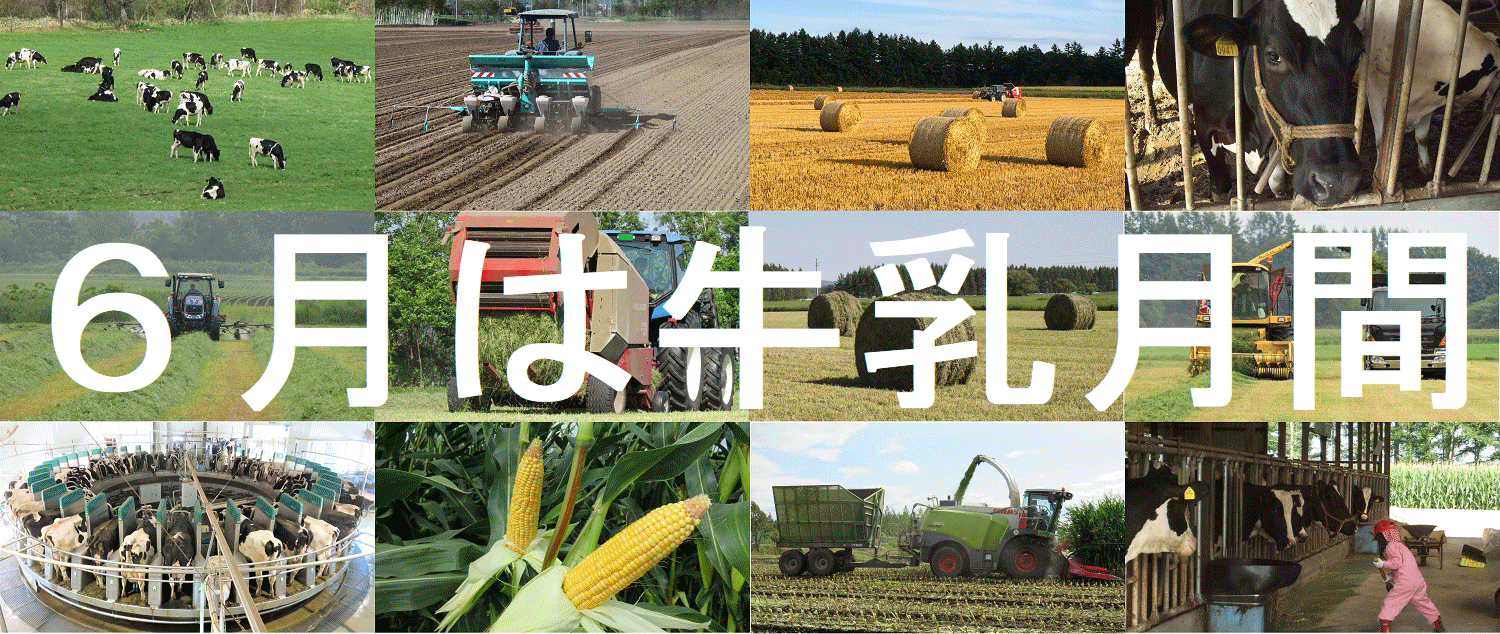 牛乳月間とあおぞら