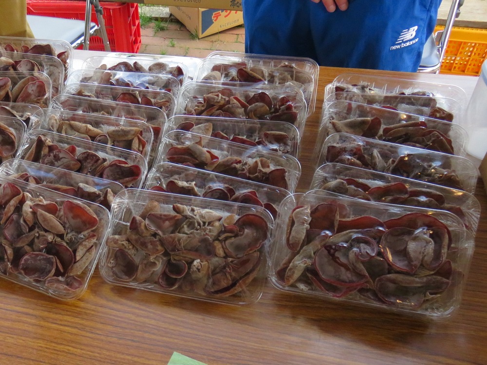 帯広ケア・センター収穫感謝祭の様子