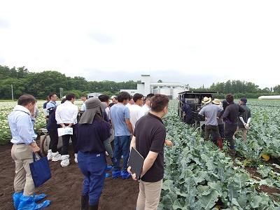 収穫作業の視察状況