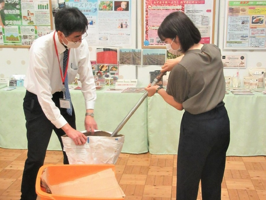 十勝産小豆の刺し抜き体験の様子