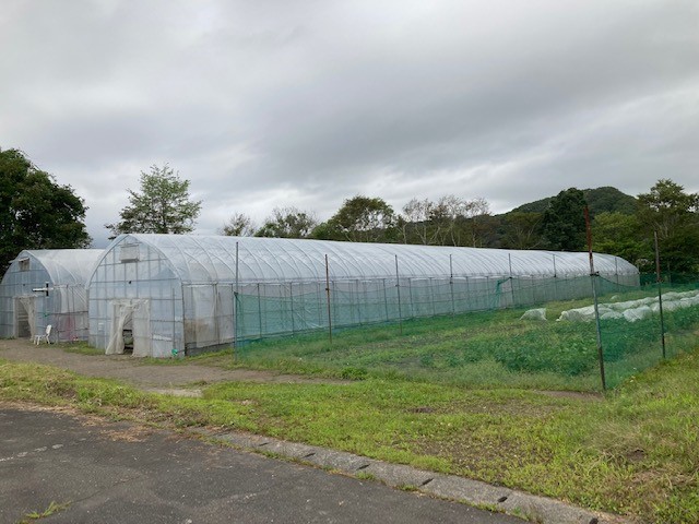 圃場の様子