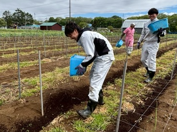 堆肥散布（はるきち）