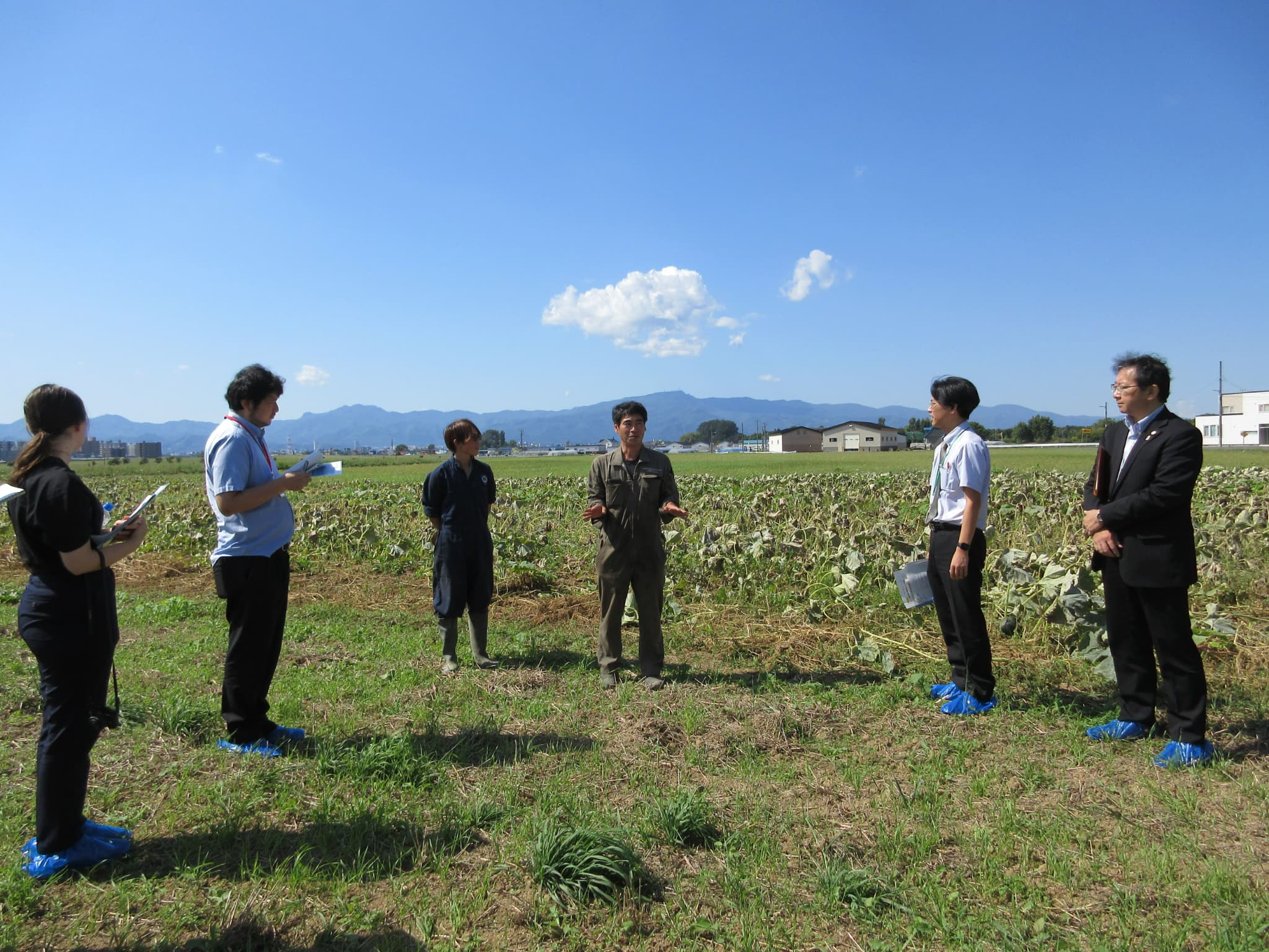 とれた小屋ふじい農場の有機JASかぼちゃ栽培の説明