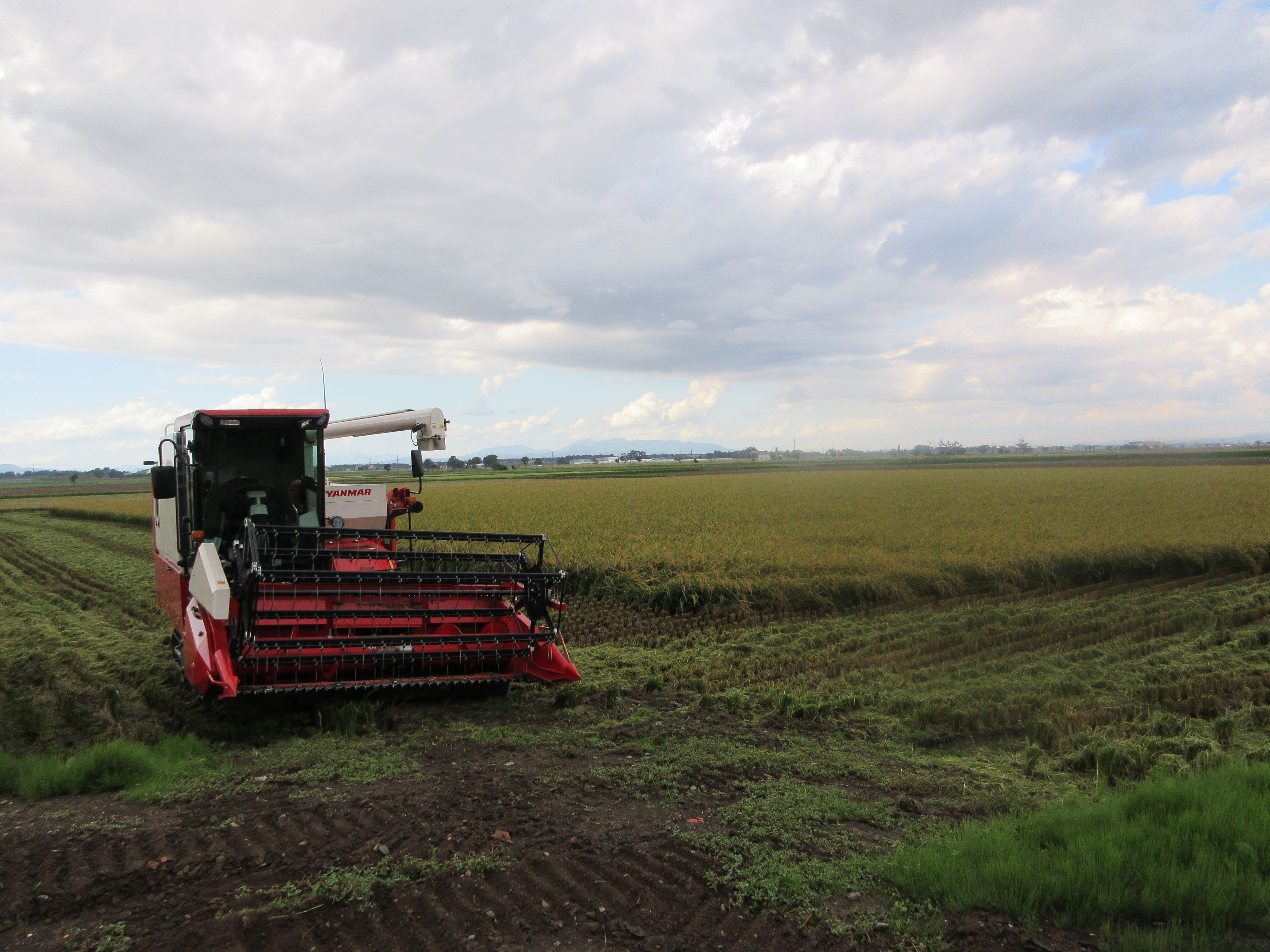 峯農産食品㈱の水稲ほ場