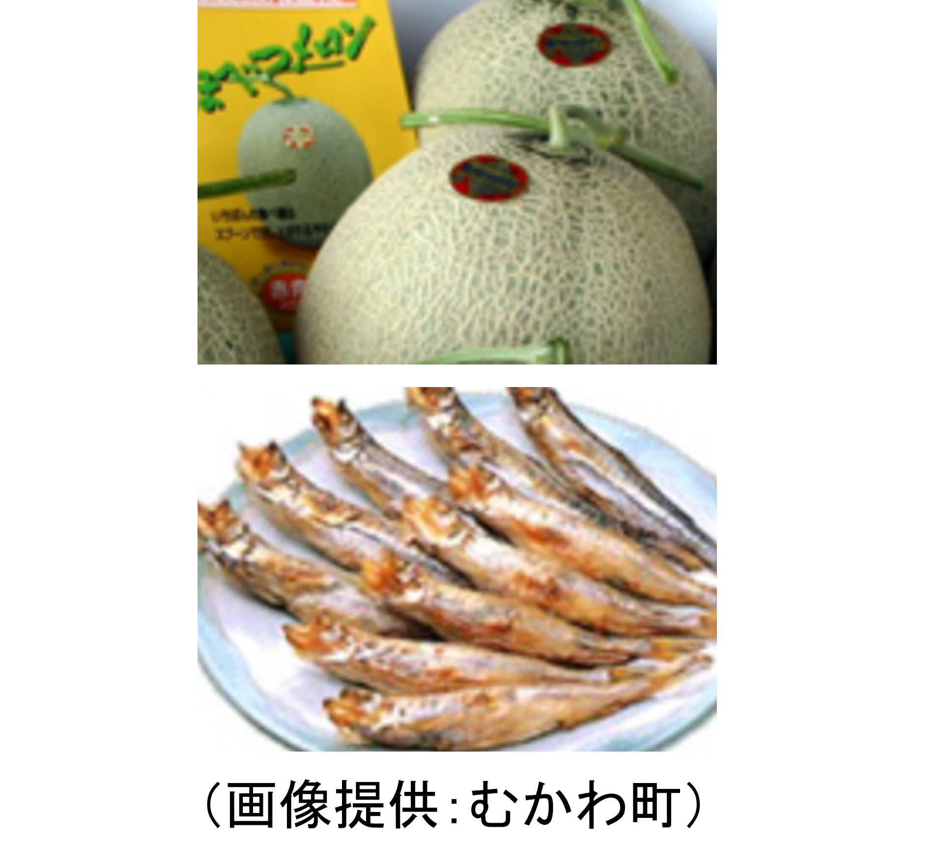 ほべつメロンと鵡川ししゃも