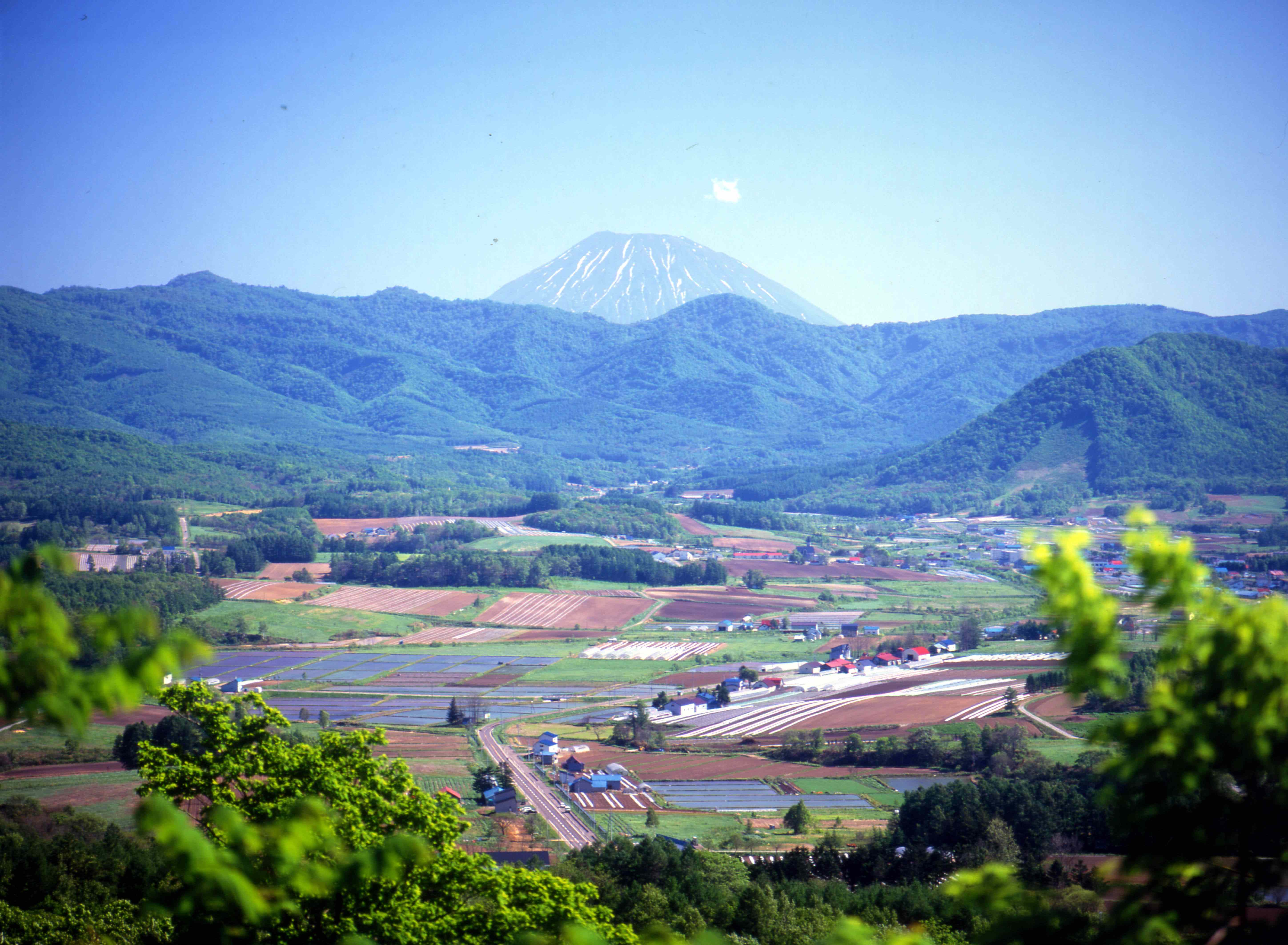 全景