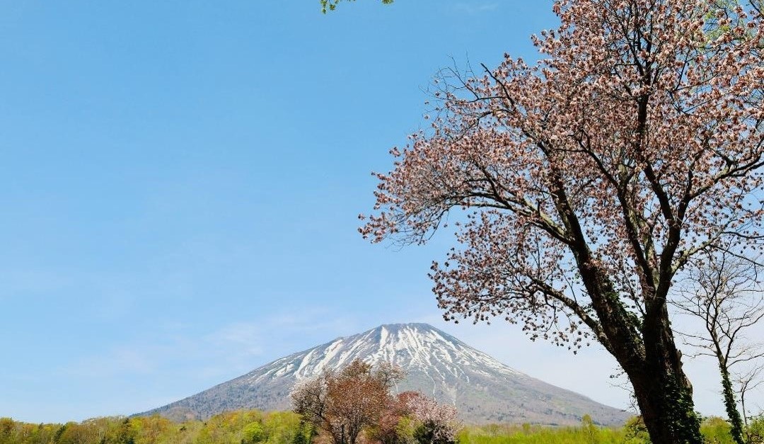 羊蹄山