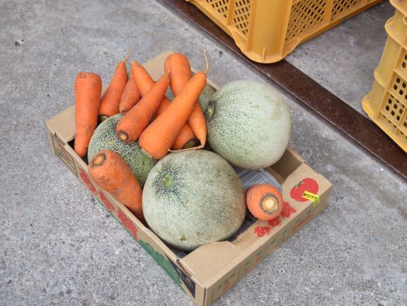 規格外にんじんとメロン