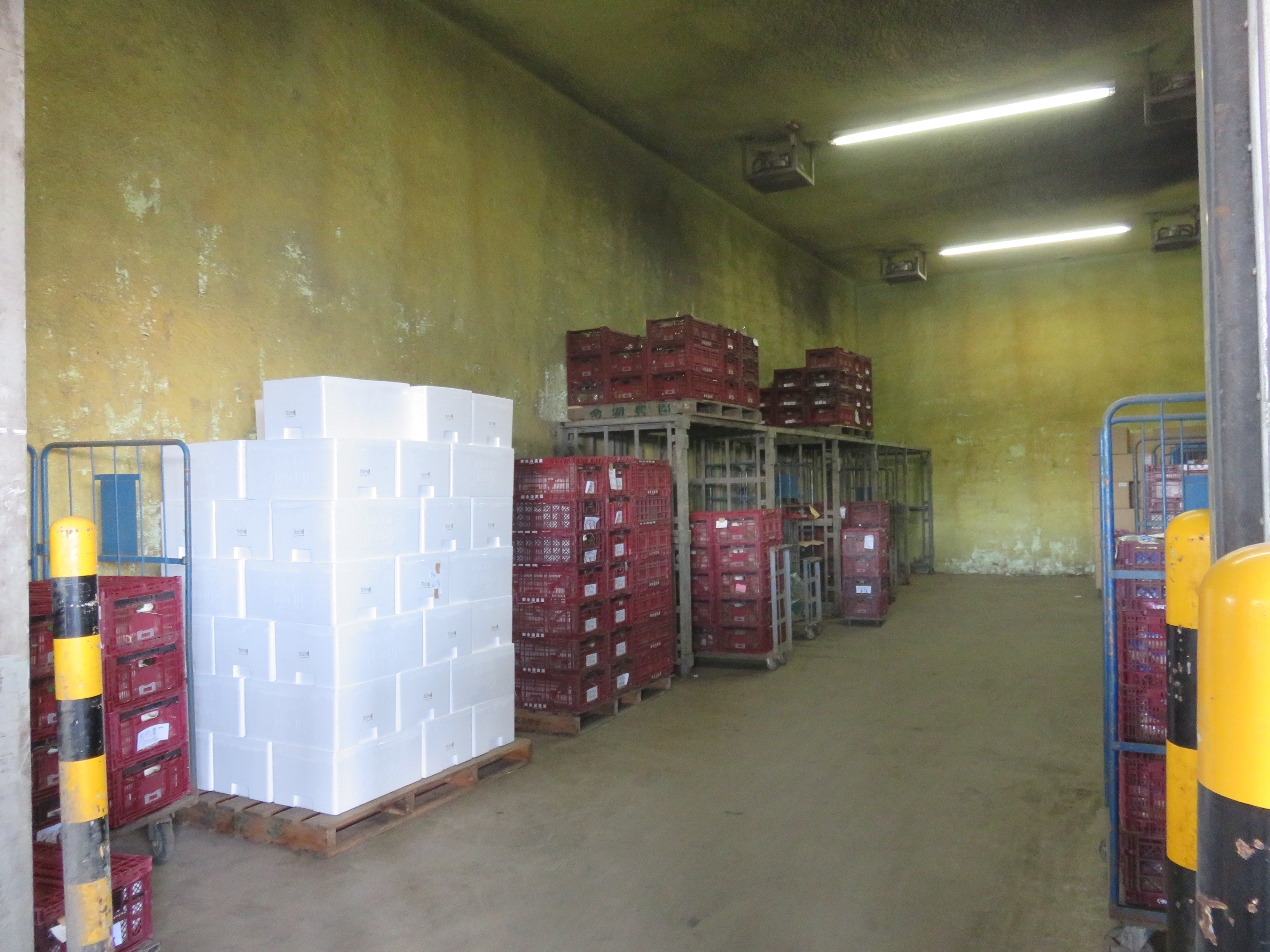 常に５度に保たれている予冷庫