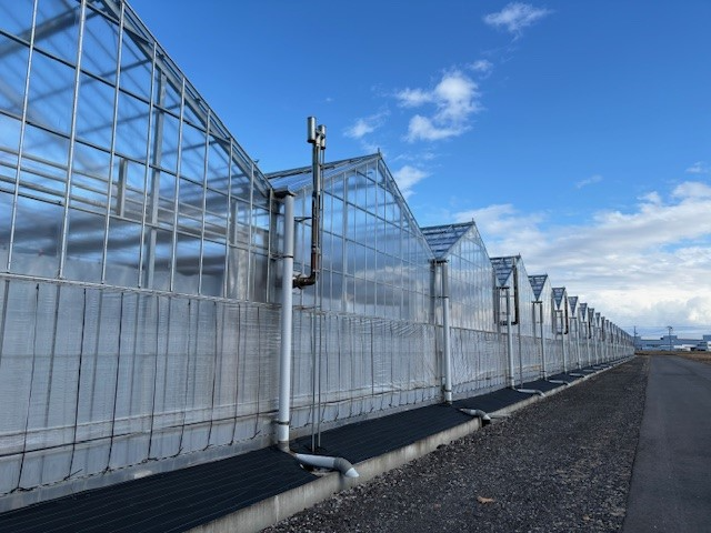 ほ場