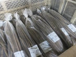 選別されたごぼうは関西に出荷予定