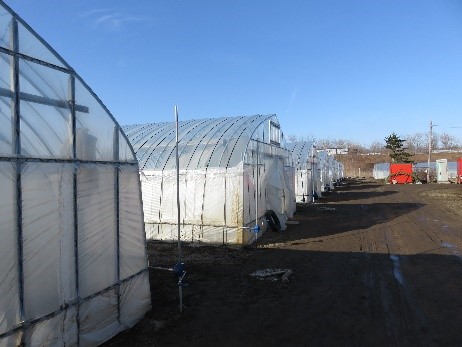 ビニールハウス