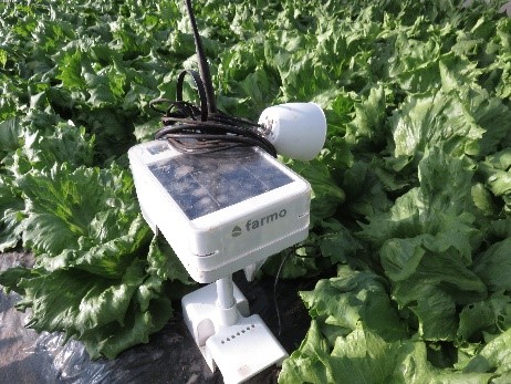 ビニールハウスの温度管理