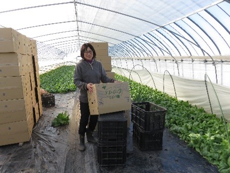 ダンボールの組み立て