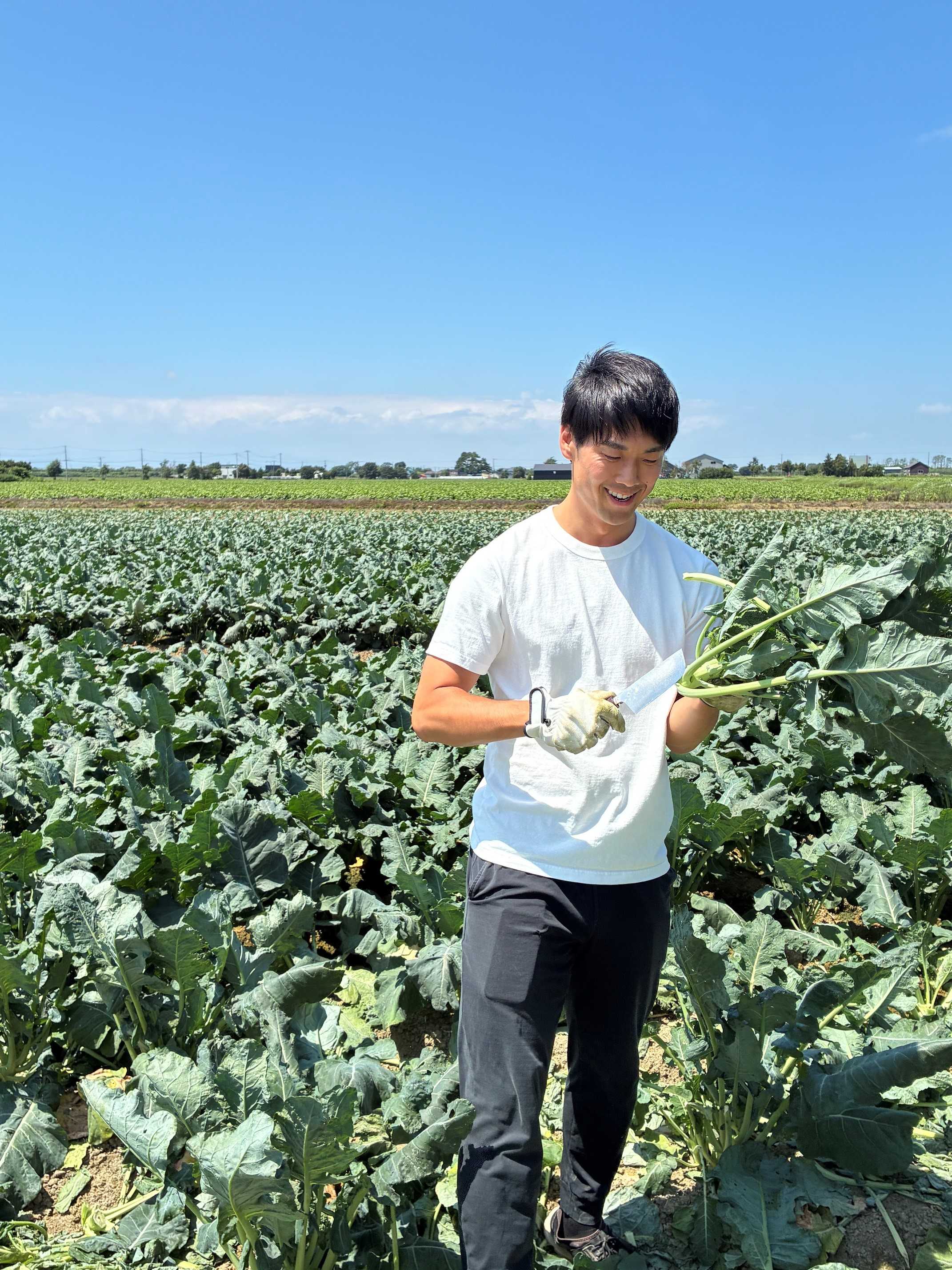 慣れた手つきで葉と側枝をカットする桃野さん