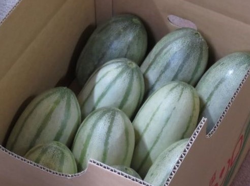 きれいに箱詰め